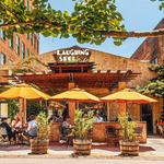Laughing Seed Cafe