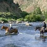Hot Springs Stables