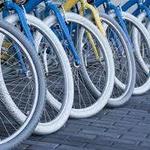 Bike Rentals