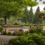 Denver Botanic Gardens