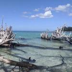 Beer Can Island
