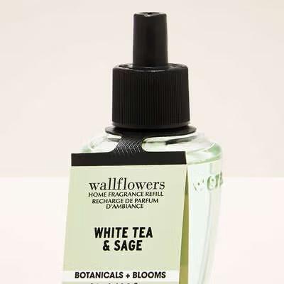 White Tea & Sage Plug-In