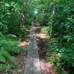 Lowell Holly Reservation