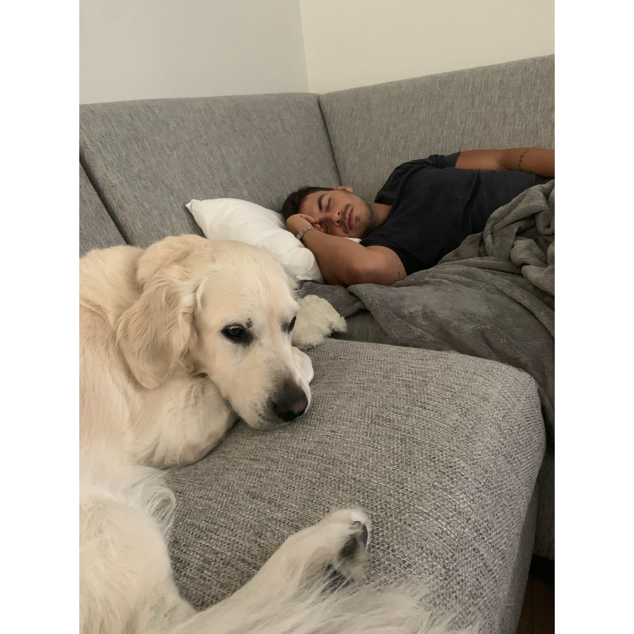 Sleeping hunk with cute dog