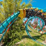 Busch Gardens Tampa Bay