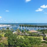 Coconut Grove