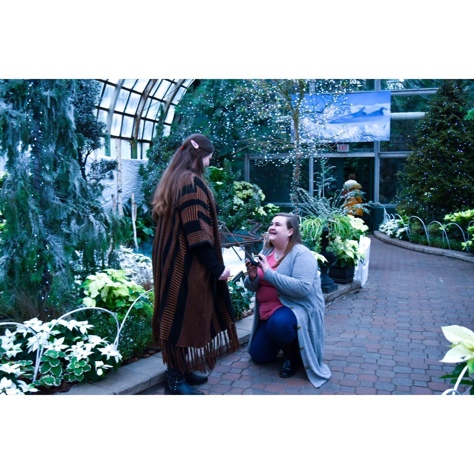 Allison's proposal to AK at The Lincoln Park Conservatory on January 4, 2020