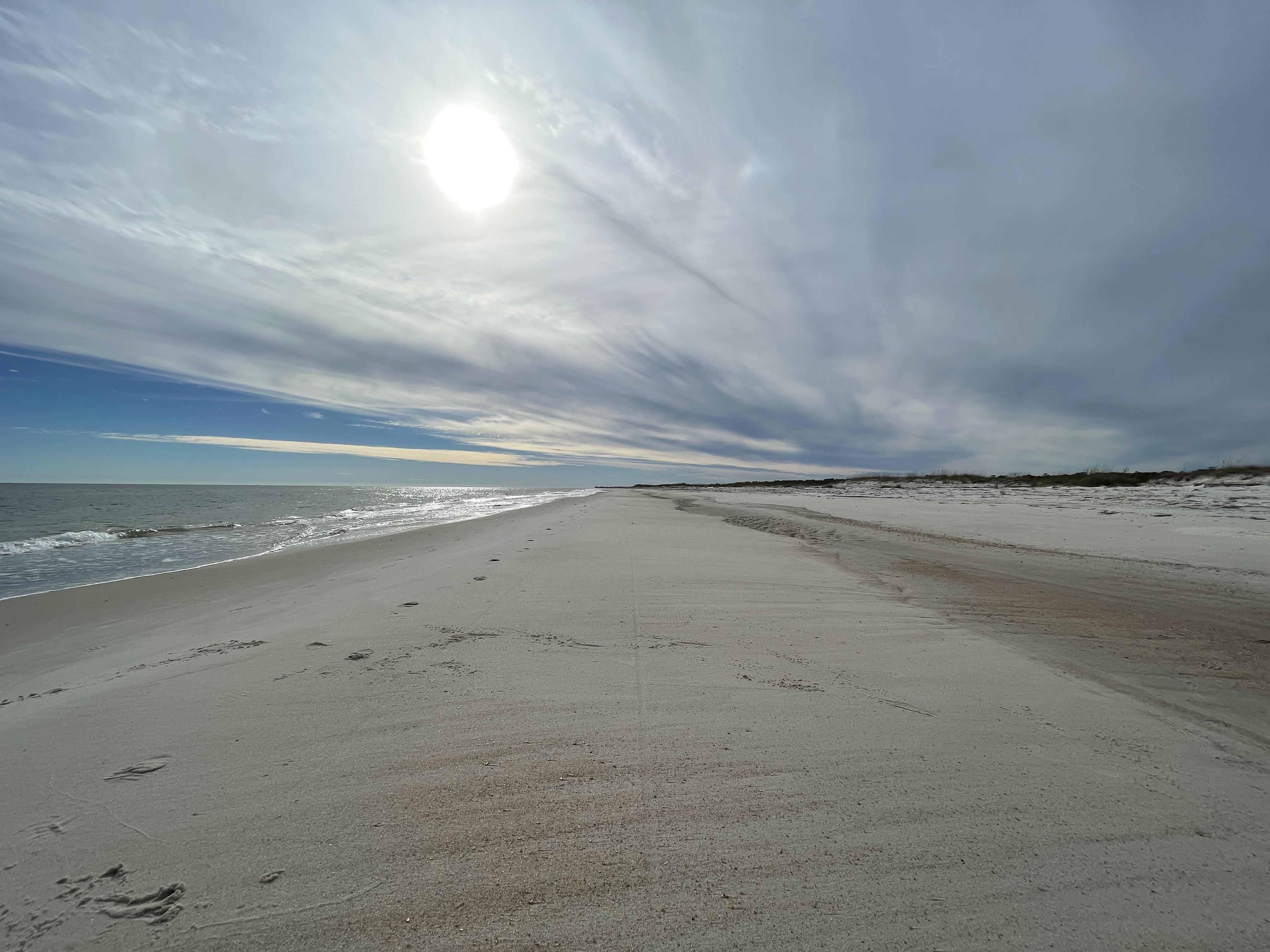 The Wedding Website of Madelene Nye and David Mewborn