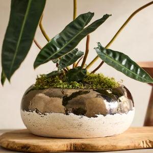 Metallic Colorblock Ceramic Bowl Planter
