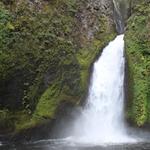 Wahclella Falls Trail