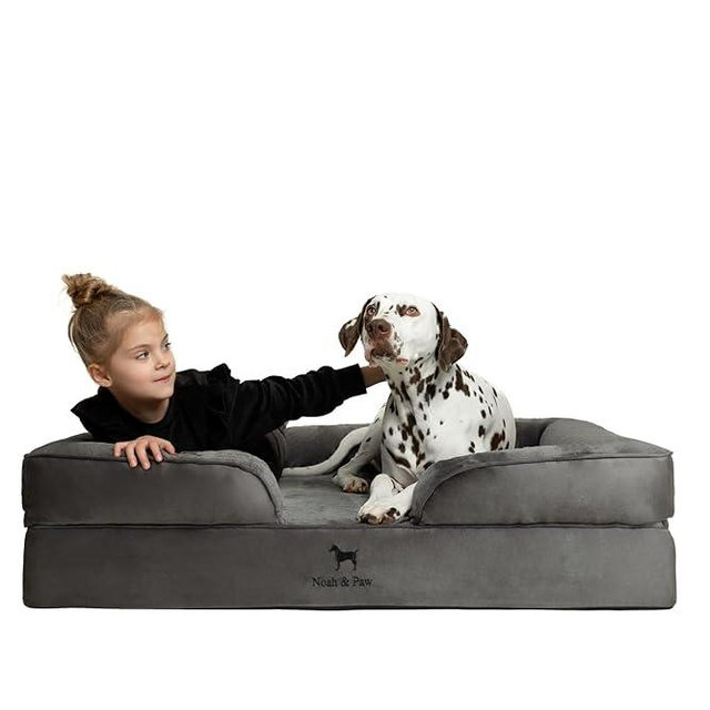 NOAH & PAW Giant Dog Bed XXL, 55x45x11 Inch, Orthopedic Dog Beds, Eggshell Memory Foam Infused with Cooling Gel, Inner Cover, Waterproof, Machine Washable (Velvet Sofa Collection)