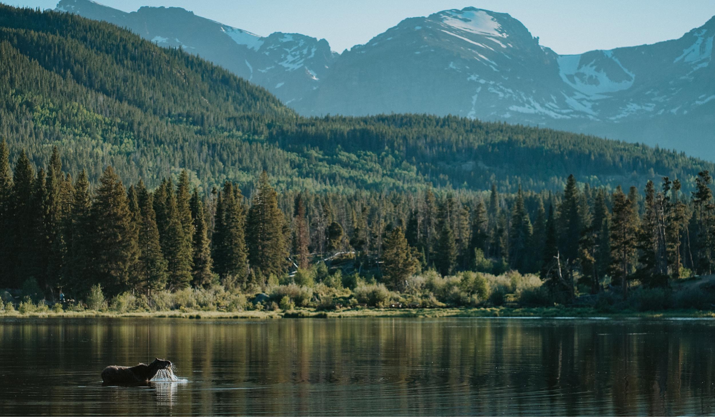 The Wedding Website of Kayla Hintz and Dawn Hanizeski