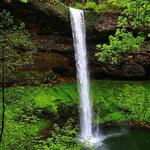 Silver Falls - South Falls Day Use Area