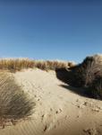 South Beach State Park