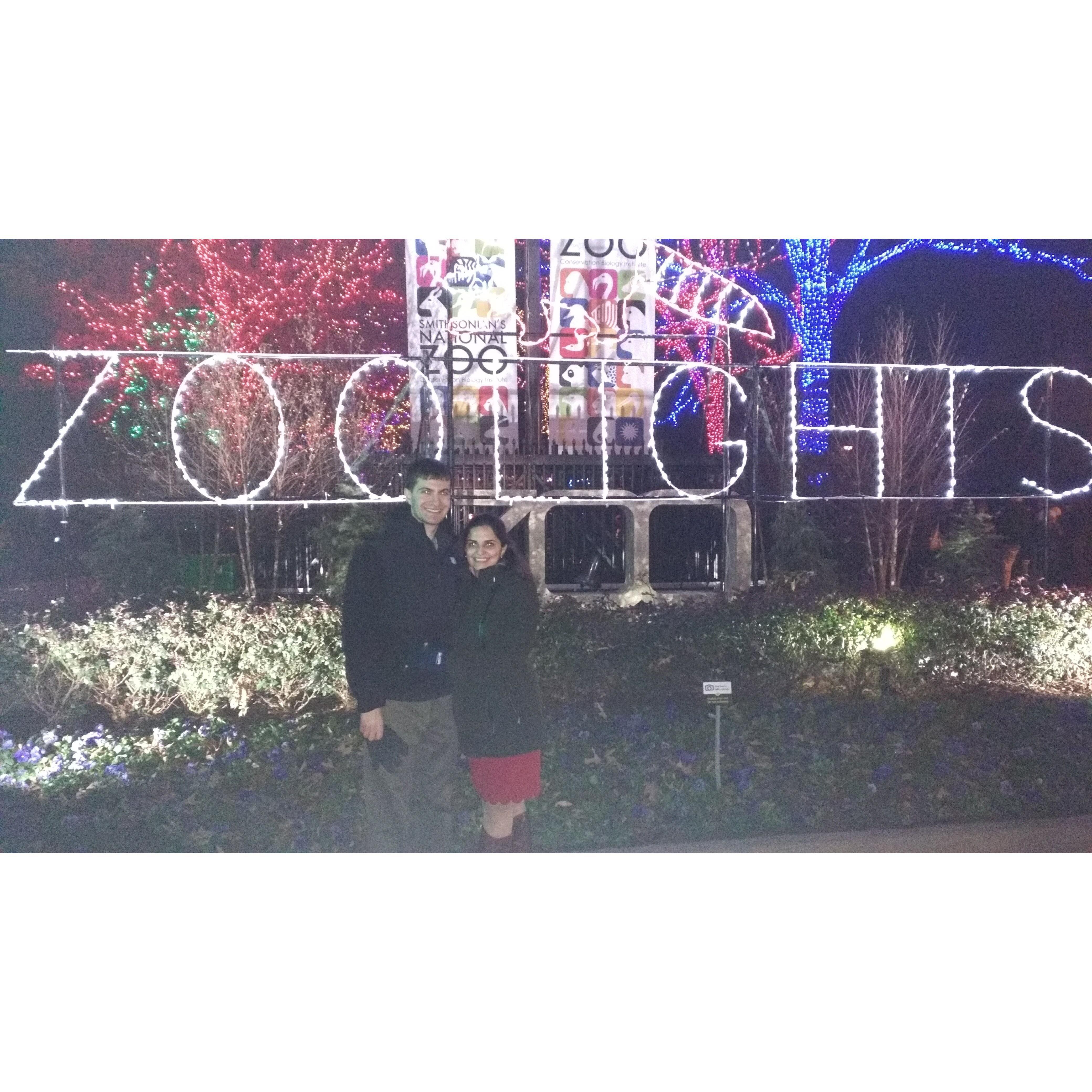 National Zoo, Zoolights, Washington, D.C.
