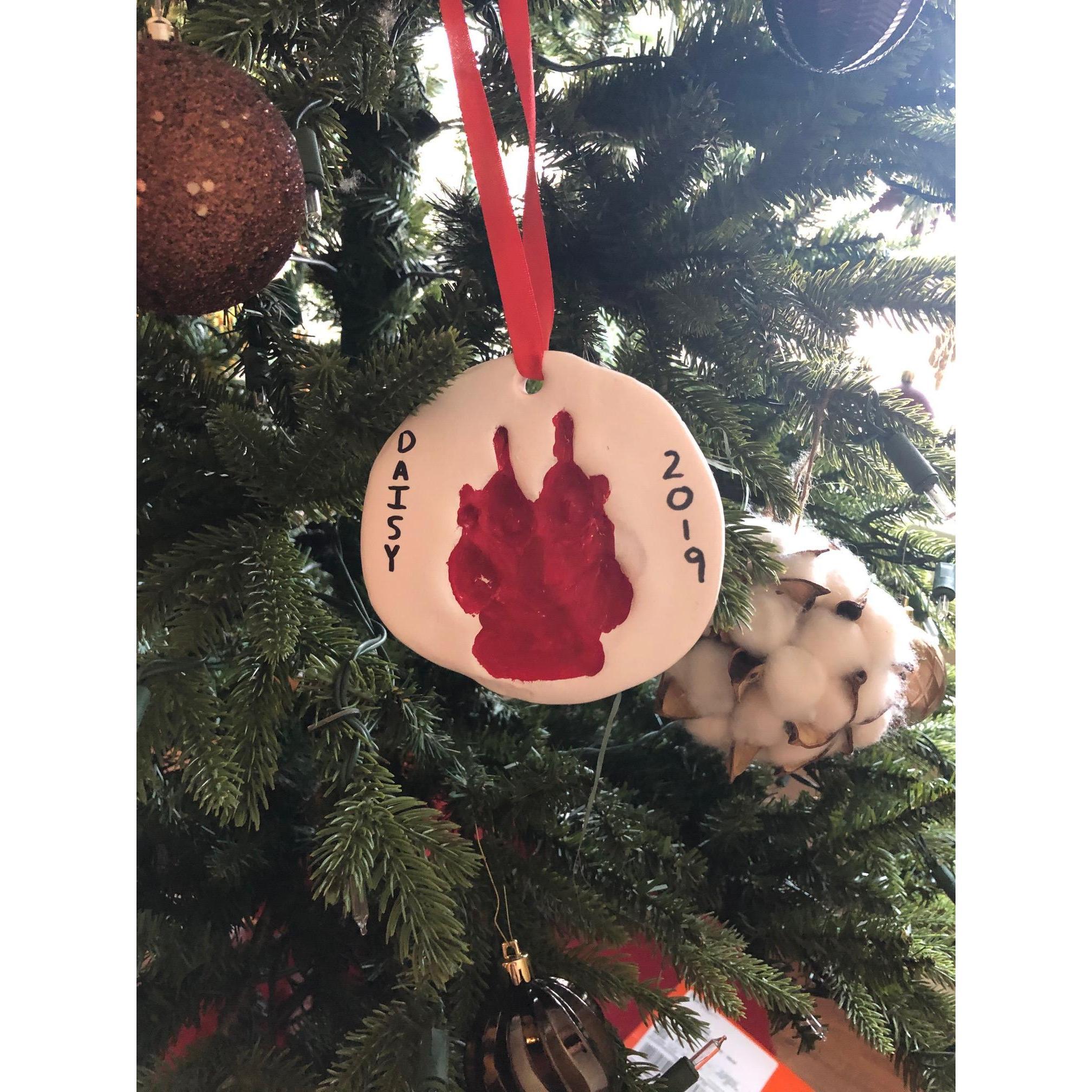Daisey's paw print on our first Christmas Tree