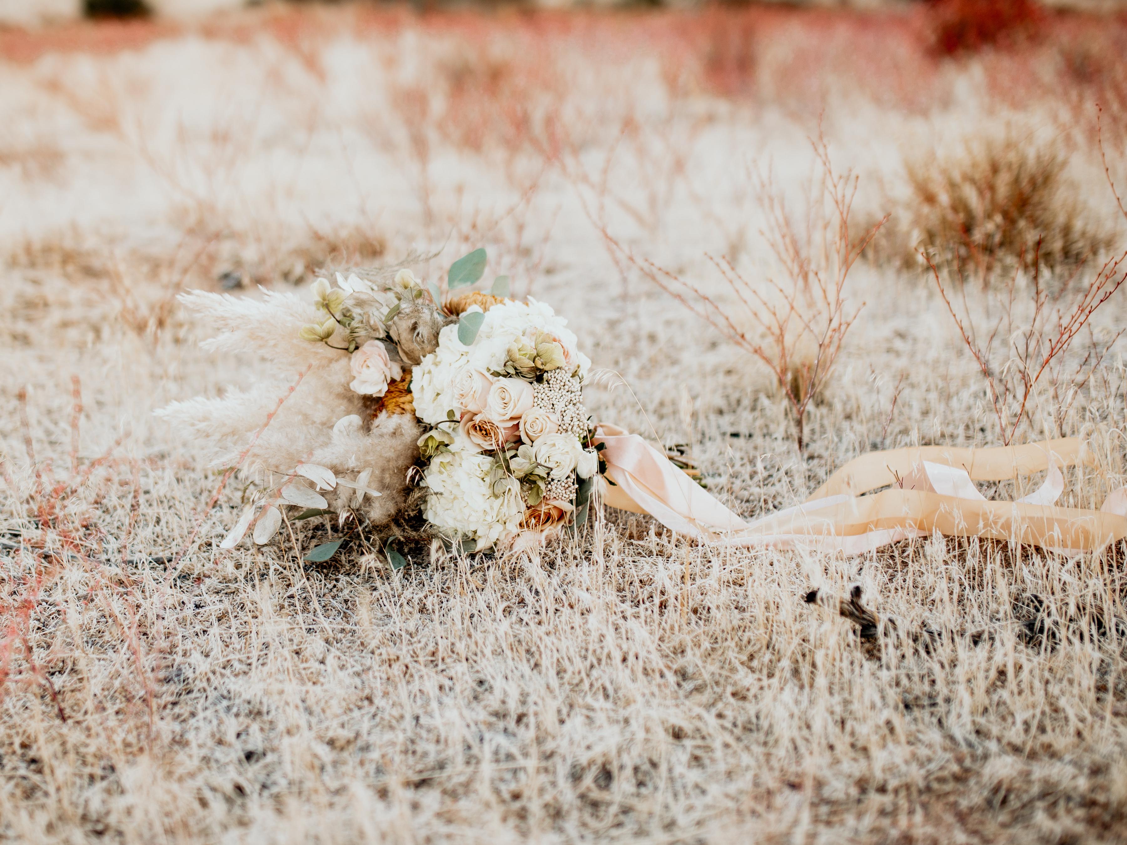 The Wedding Website of Lindsay Hutton and Wyatt Stanley