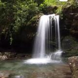 Roaring Fork Motor Nature Trail