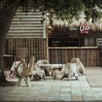 The Shack Coffee Shop & Beer Garden