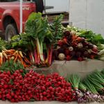 Mill City Farmers Market