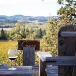 Self Guided Wine Tour