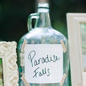 What we're calling our life fund