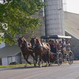 Abe's Buggy Rides