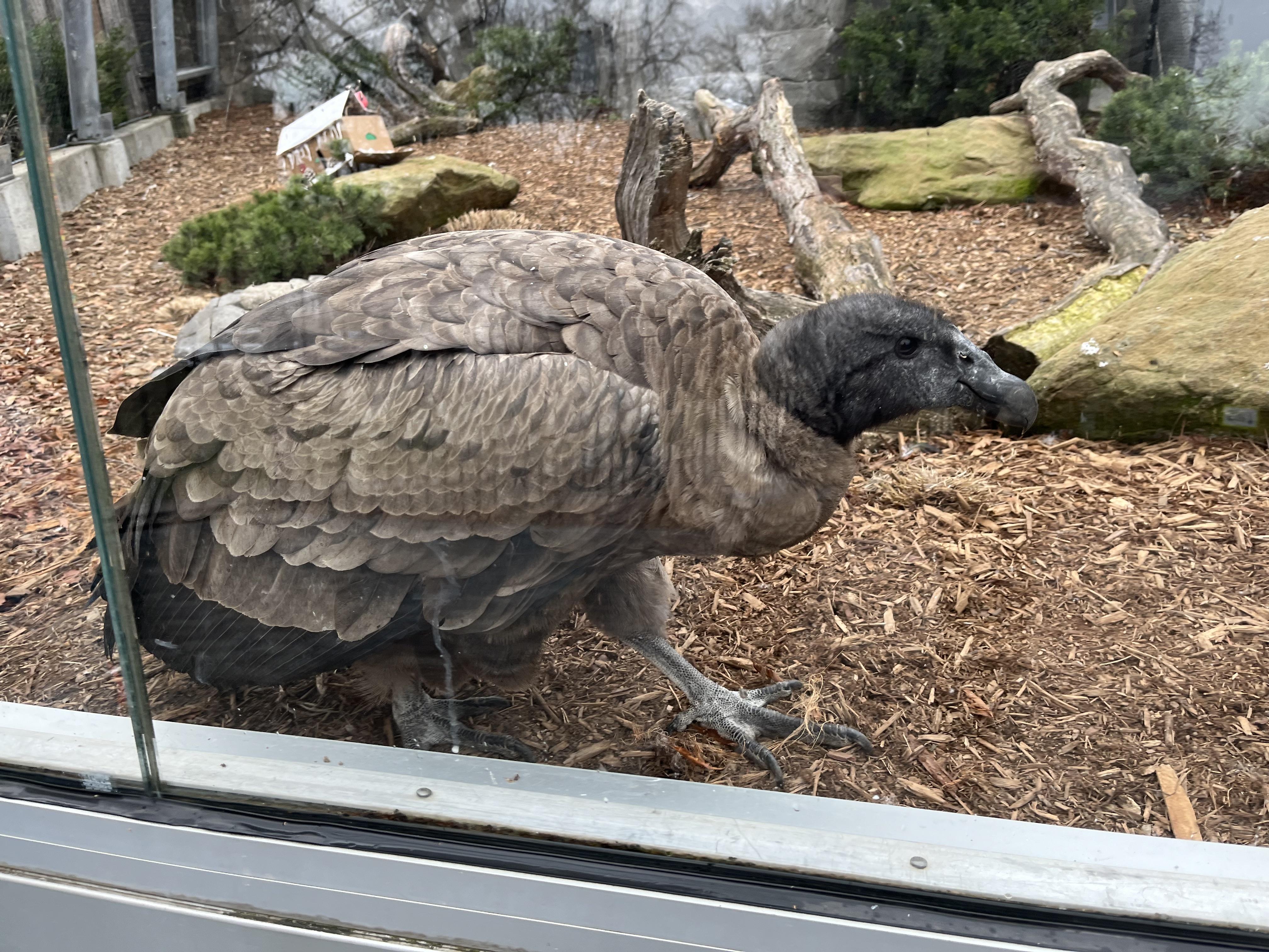 15f90095-9f29-4e5e-87e1-1fa8464b36ad