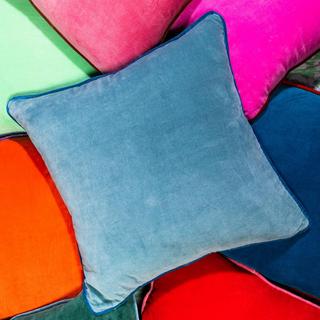 Charliss Velvet Throw Pillow