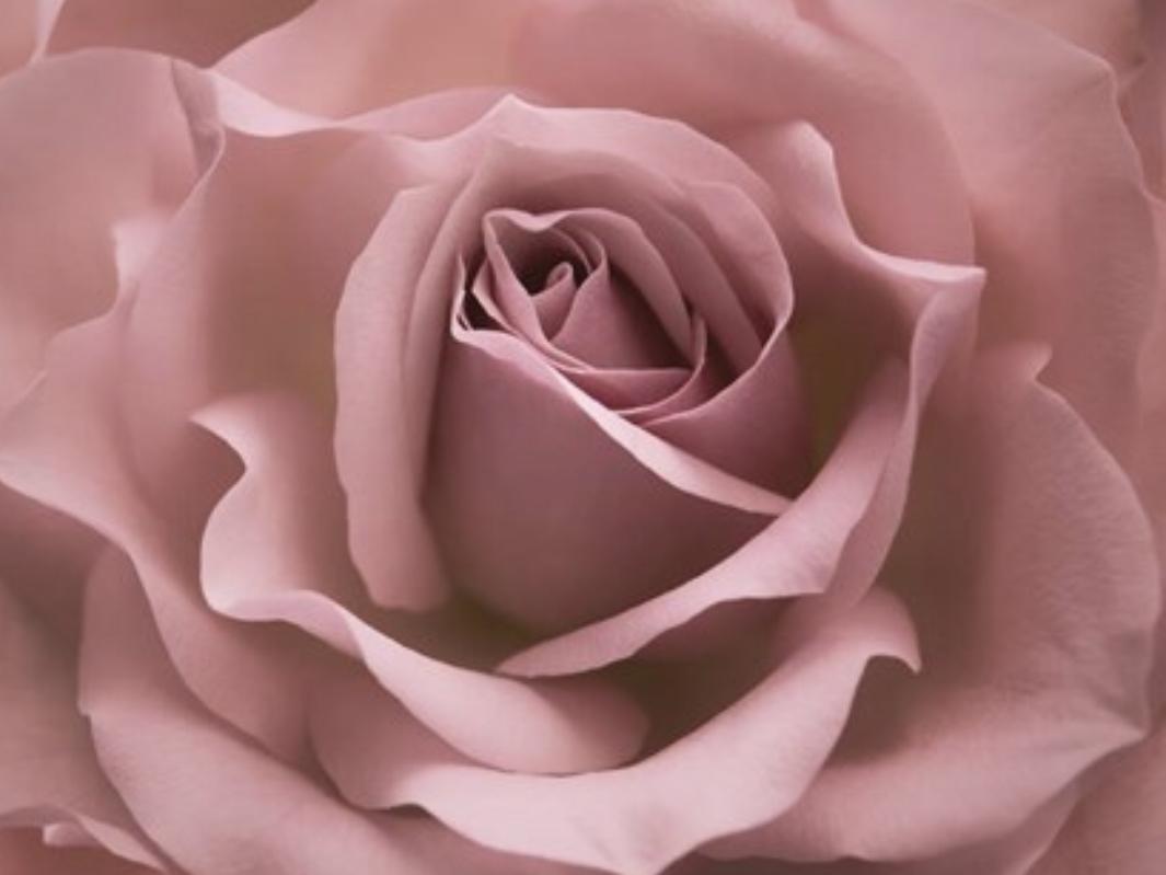 The Wedding Website of Yvonne Martinez and Vonzel Allen