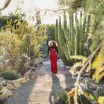Tucson Botanical Gardens