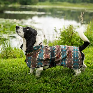 Waterproof Adventure Pet Coat