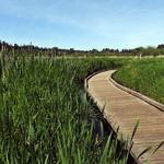 North Creek Trail