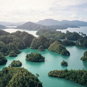 Dream Honeymoon