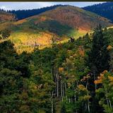 Santa Fe National Forest