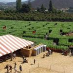 Underwood Family Farms