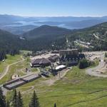 Schweitzer
