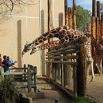 Fresno Chaffee Zoo
