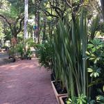 Parque México