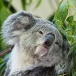 Riverbanks Zoo & Garden