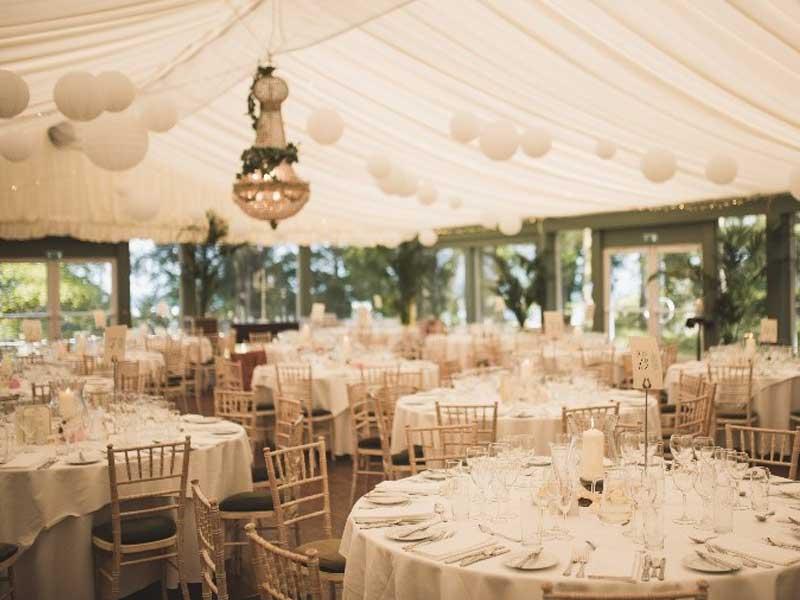 The Wedding Website of Hollie Leanora Tyrrell and Boris Renato Scherwitzl