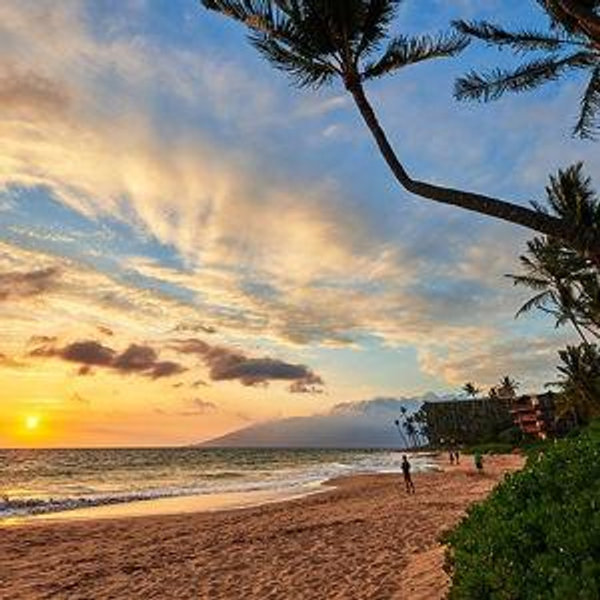 Our Maui Honeymoon Fund