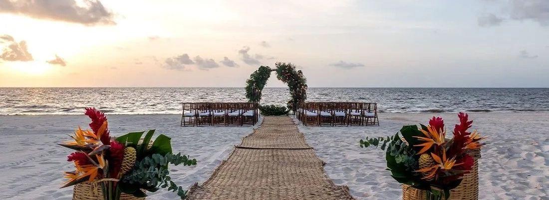 The Wedding Website of Hayley Michelle Tullis and Oliver James Clarke