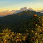 El Yunque National Forest