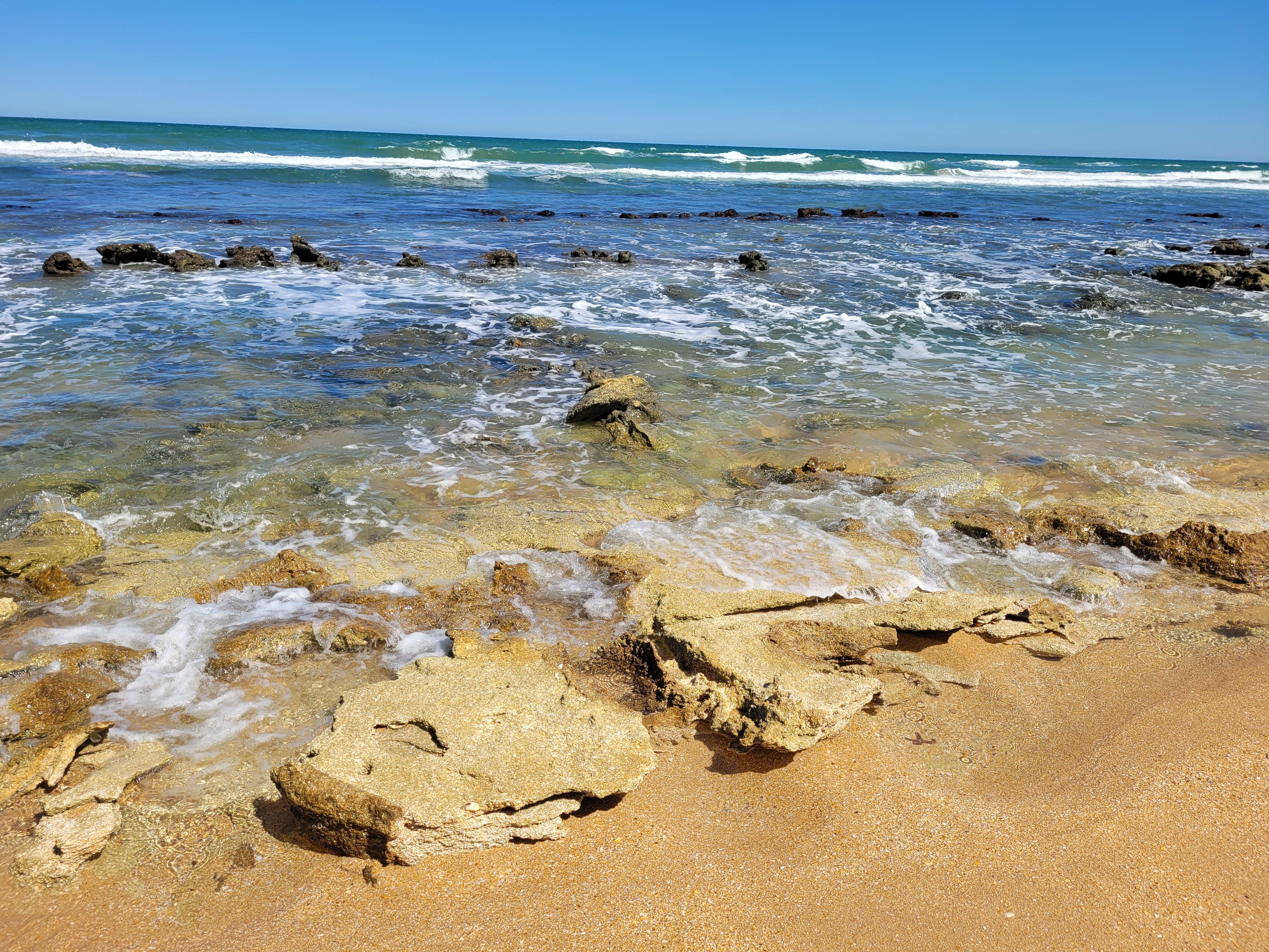 The Wedding Website of Margaret Wallis and Joshua Funk