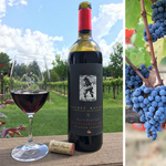 Secret Ravine Vineyard & Winery