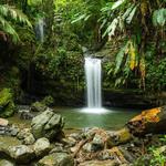 El Yunque