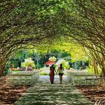 Dallas Arboretum & Botanical Gardens