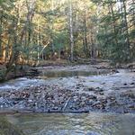 Cutler Park Walking Trails and Refreshing Mettawee River Swimming Hole