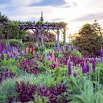 Coastal Maine Botanical Gardens